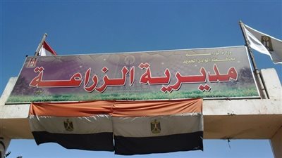 «زراعة الوادي الجديد»: حملات لمكافحة آفات النخيل والفئران