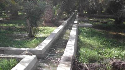 3 أخطار تهدد أراضي الدلتا.. انخفاض إمدادات المياه العذبة «جرس إنذار».. تراجع خصوبة التربة الزراعية ينذر بكارثة.. ارتفاع مستوى البحر المتوسط خطر على السكان.. و«الري»: تعاون مع 20 دو