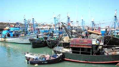 اليابان والبرازيل تتفقان على التعاون لتطوير الموارد البحرية