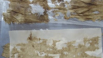 طرق معالجة الآثار العضوية من التلف البيولوجي