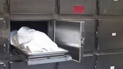 مصرع فلاح في تصادم سيارة ملاكي وعربة كارو بالدقهلية