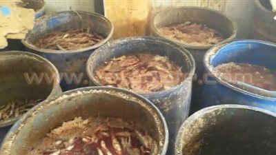 بالصور.. ضبط 10 أطنان رنجة بمخزن بدون ترخيص في المنوفية