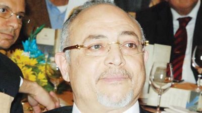 مجدي عارف: الاستثمارات الترفيهية إضافة للسوق