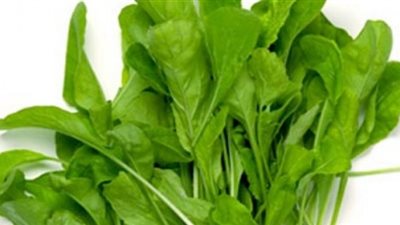 خلاصة الجرجير تزيل سموم التبغ وتقي المدخنين من السرطان