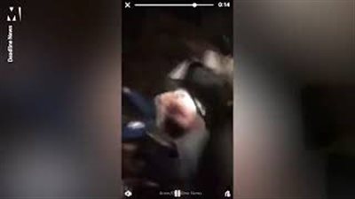 مشهد صادم لمارة يصورون هجوم بلطجية على فتاة دون تدخل (فيديو)