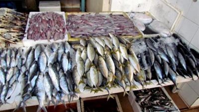 احذر.. 6 طرق لغش الأسماك مع الاحتفال بشم النسيم