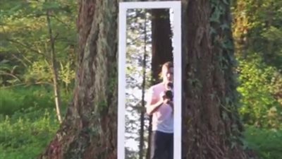 بالفيديو.. وهم بصري لمرآة في غابة سينقلك إلى عالم آخر