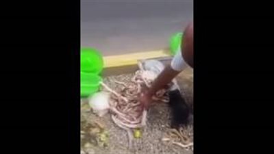 بالفيديو.. شاهد ماذا عثروا داخل حقيبة حاج مصري في السعودية