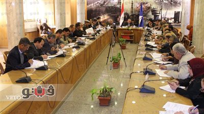 محافظ دمياط يشكل لجنة للمرور على صوامع القمح والشون