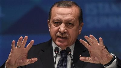 صاحبة الصورة المسيئة لأردوغان عن احتجاج القنصل التركي: وقاحة