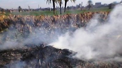 «زراعة أسيوط»: تعميم منظومة تجميع مخلفات الذرة بالمحافظة