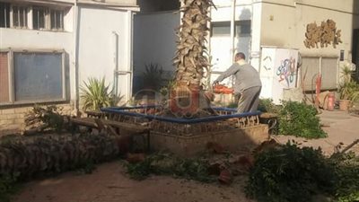 حملة لتجميل كلية تربية نوعية القاهرة (صور)