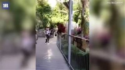 بالفيديو والصور.. لحظة فرار إنسان الغاب من قفصه وسط ذعر الزوار