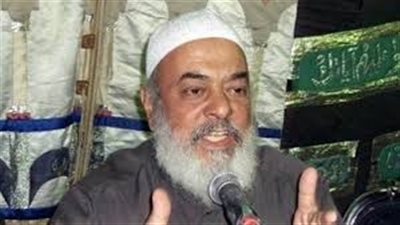 أمير الجماعة الإسلامية: هيكل صنم ناصري ورجل كل العصور