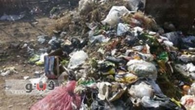 بالصور.. رفع 60 طن قمامة من سوق بلقاس في الدقهلية