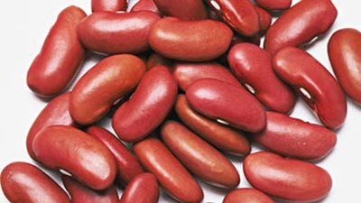 الفول السائب يسجل 12 جنيهًا بدمياط