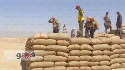 توريد 102 ألف و812 طن قمح إلى صوامع سوهاج