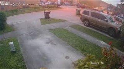 بالفيديو.. سيارة تدهس شابا لمنعه من مطاردة لص سرق هاتفه