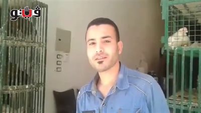 بالفيديو.. ارتفاع أسعار الدواجن والبلدي بـ37.5 جنيها في الجيزة