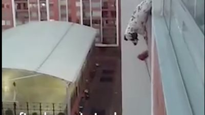 بالفيديو والصور.. رجل يتسلق مبنى مرتفعا لإنقاذ كلب