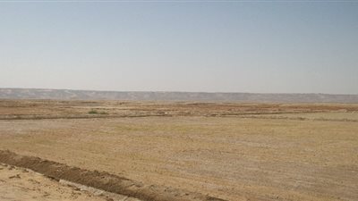 إقبال كثيف من المستثمرين على كراسات الحجز لـ86 قطعة أرض طرحتها الإسكان