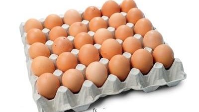 كرتونة البيض الأحمر تسجل 35 جنيهًا بالمزارع