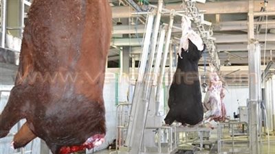 رفع مقابل دخول المجزر الآلي بالمنيب من 50 قرشا إلى 3 جنيهات