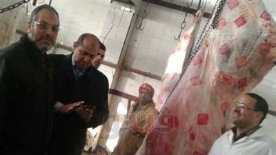 «بيطري دمياط» يتابع تطبيق منظومة الأختام الجديدة بالمجازر (صور)