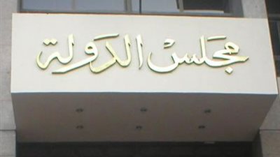 ١٨ يونيو.. الحكم في إلزام المحامين بتقديم فيش وتشبيه لتجديد العضوية