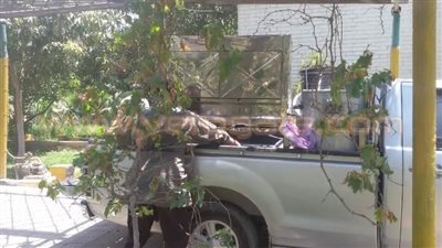 بالصور.. استعداد حملة «شباب بيحب الخانكة» لإفطار عمال النظافة