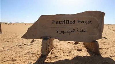 وزيرا الإسكان والبيئة يتفقان على تطوير الغابة الحجرية بالقاهرة الجديدة