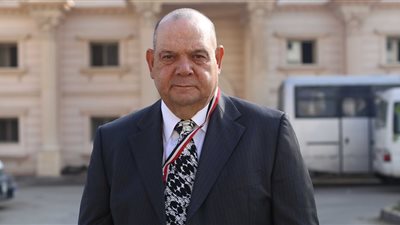 النائب محمد ماهر: المصريون في الخارج قدموا رسالة حب وتأييد للسيسي