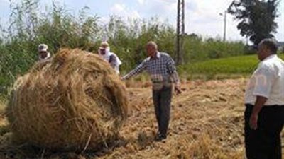 بالصور.. تخصيص 21 نقطة لتجميع قش الأرز في الدقهلية