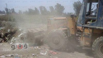 حملة نظافة في قرية شبراباص بالمنوفية