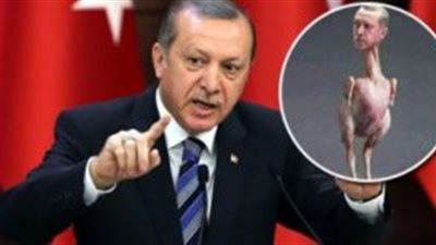 صاحبة الصورة المسيئة لأردوغان: تركيا تسيء لمصر وتأوي الإرهابيين