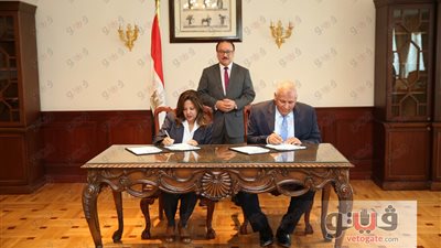 تعاون بين «الاتصالات» والوادي الجديد لتوفير خدمات العلاج عن بُعد