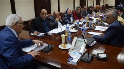 الأعلى للإعلام: لا مخالفات بانتخابات الخارج.. وقنوات الإخوان في غيبوبة