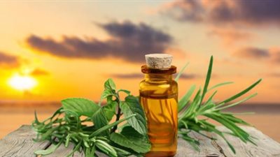 حمام زيت إكليل الجبل لمنع تساقط الشعر