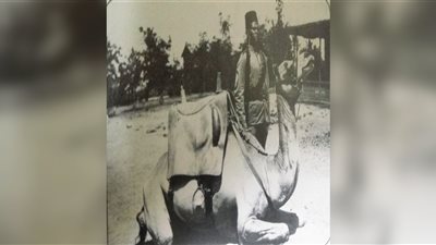 «بوليس الهجانة» سلاح الحكومة لمواجهة عتاة الإجرام وتأمين الطرق