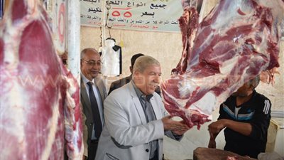 بالصور.. محافظ الإسماعيلية يتفقد معرض السلع الأساسية بنادي المنتزه