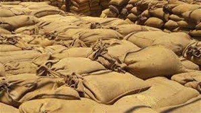 الحكومة لا تلدغ من جحر مرتين.. استعدادات خاصة لاستقبال موسم توريد القمح.. وزير التموين: الصوامع تستوعب 4.2 ملايين طن.. لن نعتمد على الشون الترابية.. وتسديد مستحقات الفلاحين خلال أسبوعين بعد التسليم