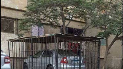 بالصورة.. حملة سخرية من حبس «السيارة المسعورة»