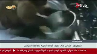 «نسناس» ينظف الأواني المنزلية بمحافظة السويس (فيديو)