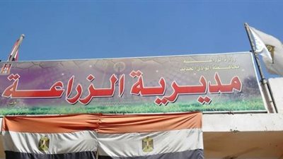 انتهاء موسم حصاد القمح بالوادي الجديد واستمرار عملية التوريد