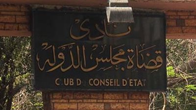 «مجلس الدولة» ينظم ندوة لحماية الأسرة والطفل من مخاطر الإنترنت.. 17 أغسطس