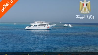 «البيئة» تكشف تفاصيل تعرض فتاة لهجوم سمكة قرش بمرسى علم