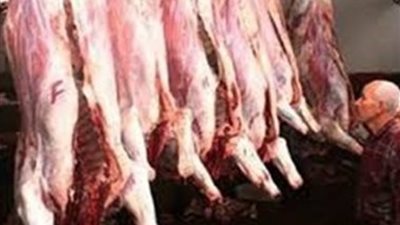 تباين أسعاراللحوم.. والضأن يسجل 130 جنيها بالإسكندرية