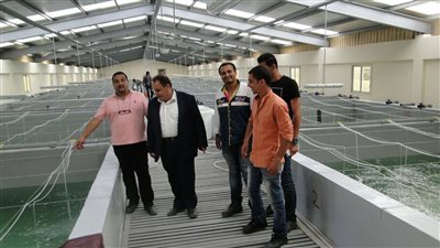 بيومي: الانتهاء من أكبر مزرعة سمكية في الشرق الأوسط بـ«بركة غليون» قريبا