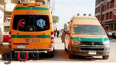 إصابة شخصين سقطا من قطار المنيا