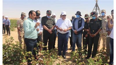 وزير قطاع الأعمال العام يتفقد تجربة زراعة القطن قصير التيلة بشرق العوينات